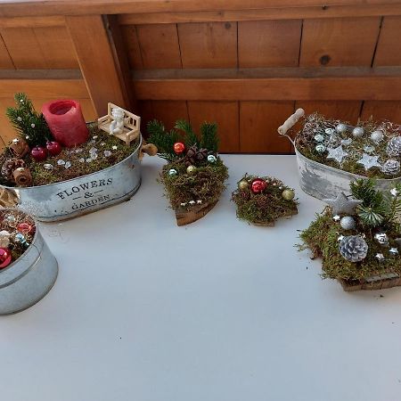 Ferienwohnung Kurrer Plankstadt Dış mekan fotoğraf